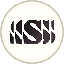 SNSY图标